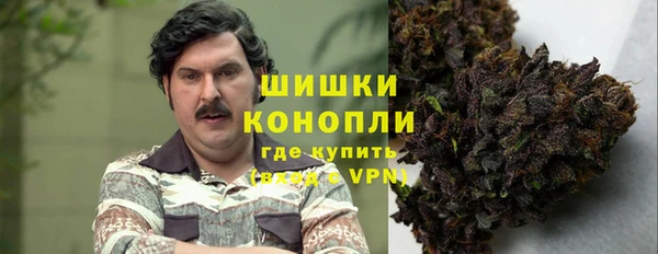 ALPHA PVP Горнозаводск