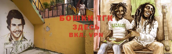ALPHA PVP Горнозаводск